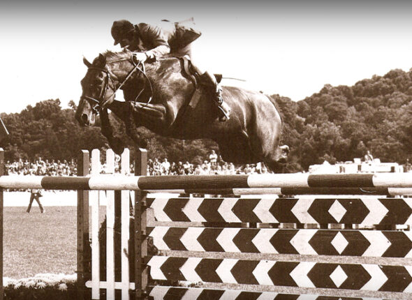 The Cardinal Gymnastic exercise breakdown