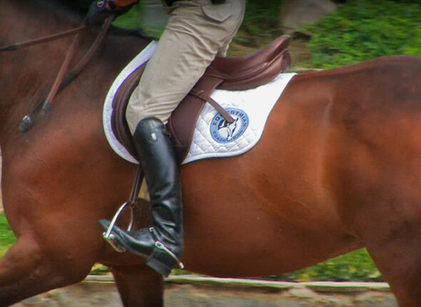 Equitation Tips: Impulsion lesson screenshot