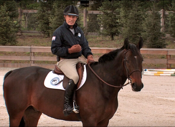 A training exercise breakdown from Equestrian Coach